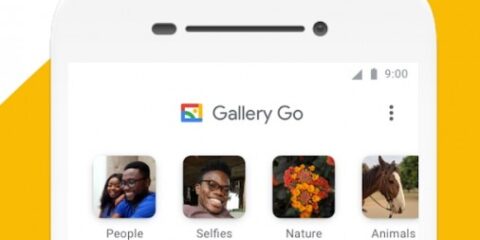 gallery Go