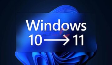 Windows 11