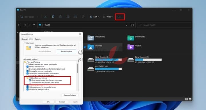 Windows 11 : كيفية إظهار الملفات المخفية 3